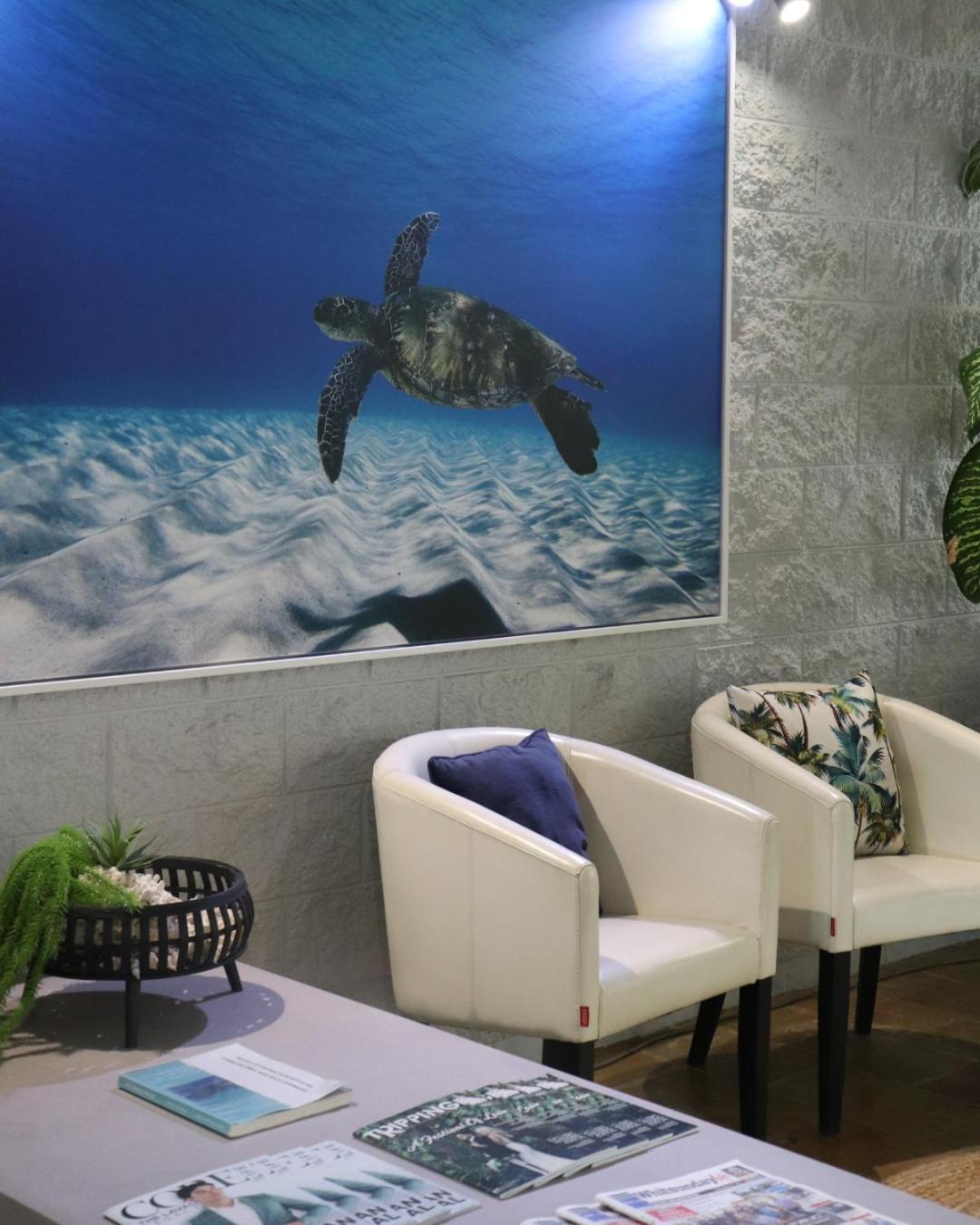 شاطئ إيرلي Colonial Palms Motor Inn المظهر الخارجي الصورة
