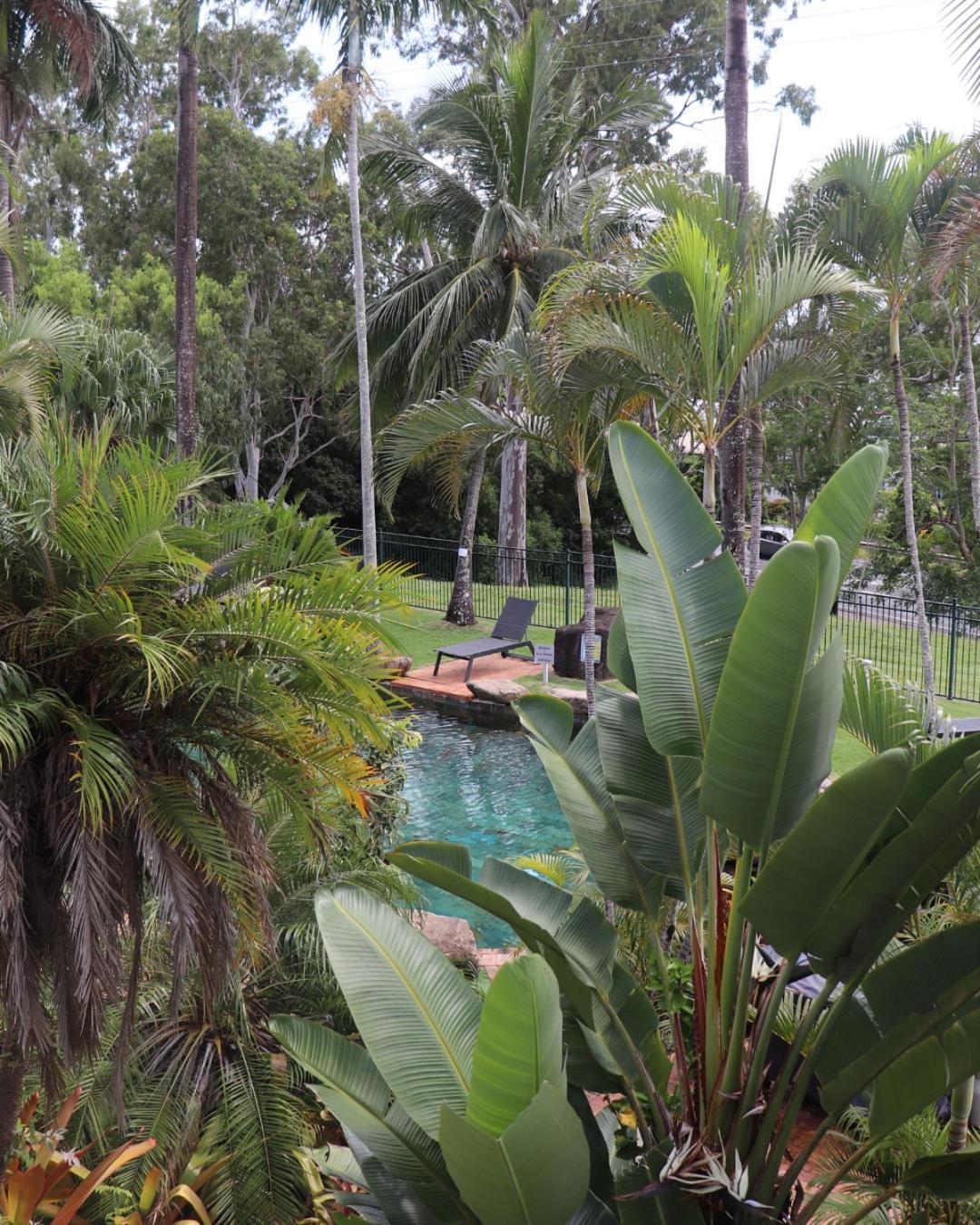 شاطئ إيرلي Colonial Palms Motor Inn المظهر الخارجي الصورة