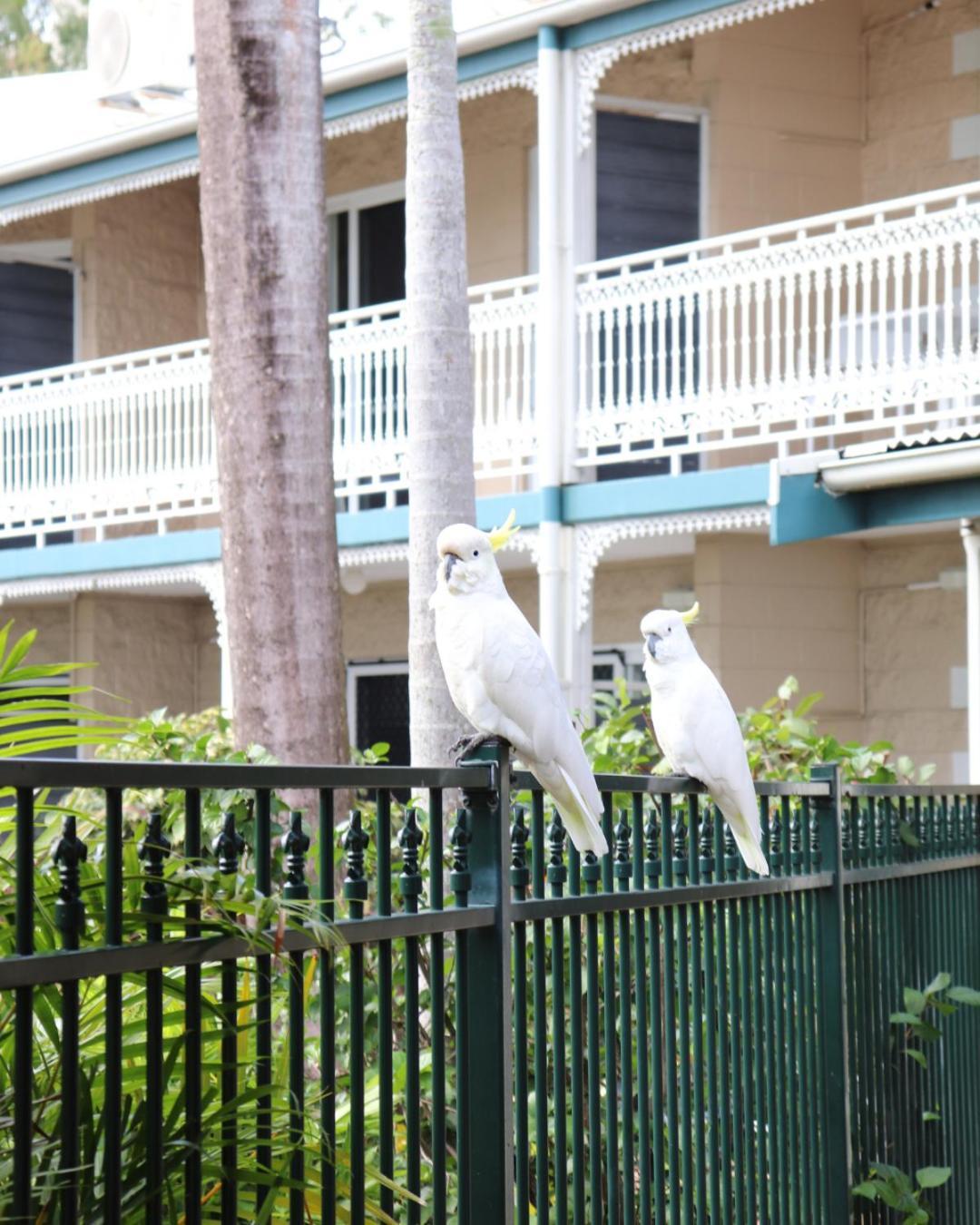 شاطئ إيرلي Colonial Palms Motor Inn المظهر الخارجي الصورة